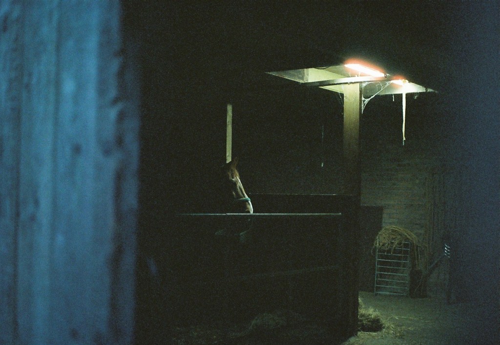 Hollande - Summer 2020